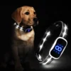 Rechargeable LED Anti-Bark Dog Collar